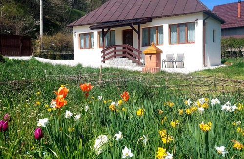 Valea Mare-Pravat House | La numărul 100, Nămăești