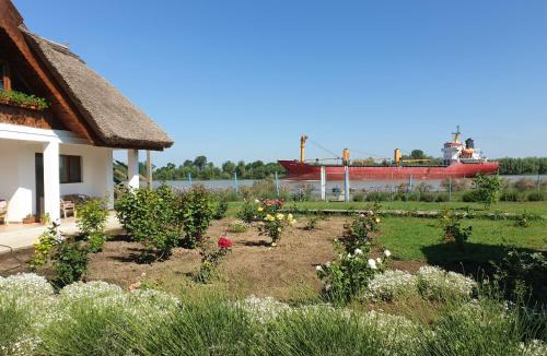 Chilia Veche House | La Raducu