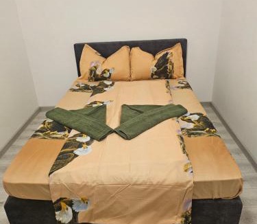 Tirgu Neamt Apartment | La Sibip