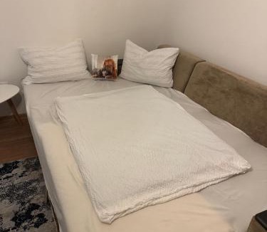 Ludus Apartment | La Suciu