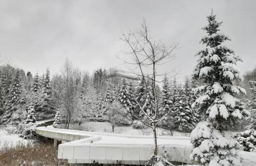 Breaza de Jos Resort | Lac de Verde - Golf&Leisure Resort