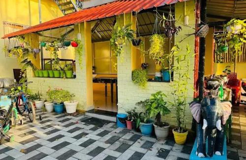 Chittar Lake Resort | Lake Chill Resort