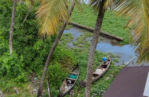 Kumbalangi House | Lake Flores Home Stay