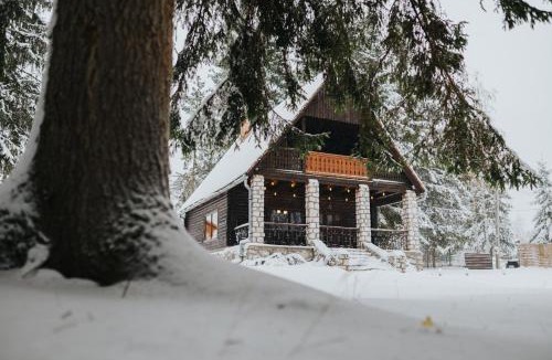 Izvoru Muresului Apartment | Lake House