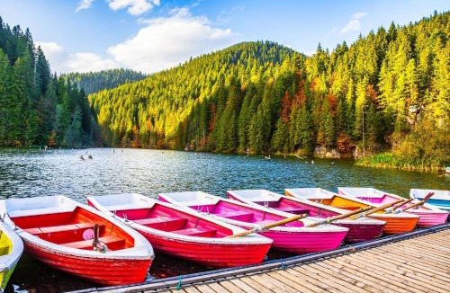 Izvoru Muresului Apartment | Lake House