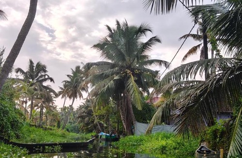 Alappuzha Hotel | Lakecampers for foreign travellers