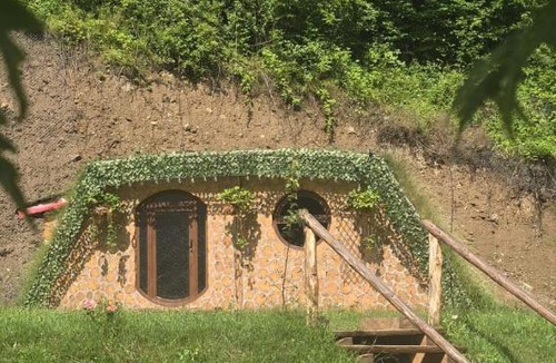 Densus Ski Chalet | lazy trout house