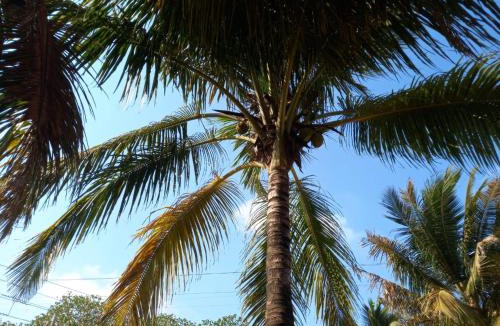 Murud Villa | Le Sancy Beach Villa
