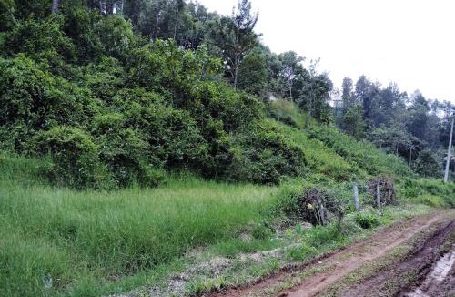 Anachal House | Leaf Garden cottage
