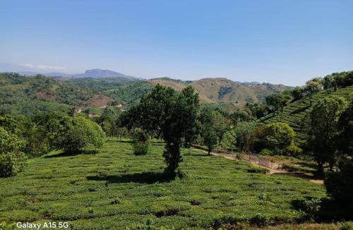 Vagamon House | Leaf mountain view holidays rooms