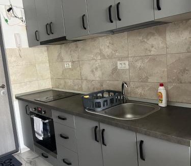 Arad Apartment | Lia Apartament