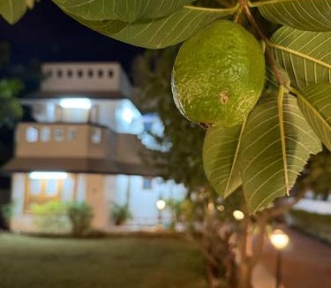 Udaipur Villa | Lila Niwas