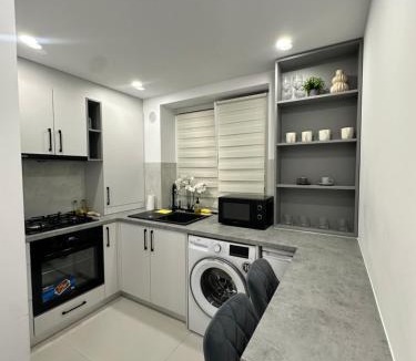 Radauti Apartment | LINIS House