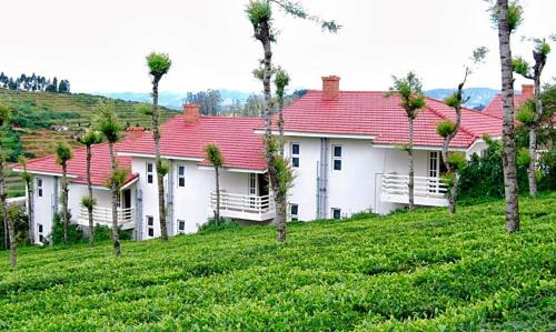 Fern Hill Hotel | LMS Palve Sugavasam
