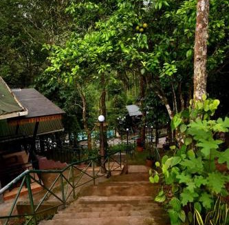 Vythiri Hotel | Lux Le Mount Resort