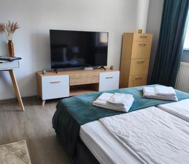 Sfantu Gheorghe Apartment | Lyra Apartment 2