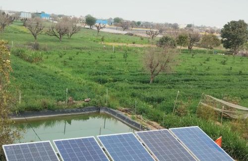 Chirawa House | Maanjoofarms Pilani