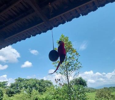 Kankavali Hotel | Maati Nature Resort