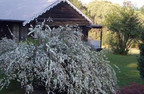 Kurrajong Heights Cottage | Madison's Mountain Retreat
