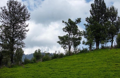 Ooty Villa | Magnolia by Nature Resorts and Stays, Coonoor