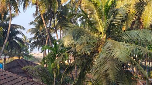 Murudeshwara House | MAHASATHI HOMESTAY Murdeshwar