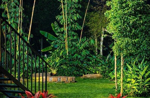 Sulthan Bathery Resort | Manayath Wayanad Premium Pool Resort