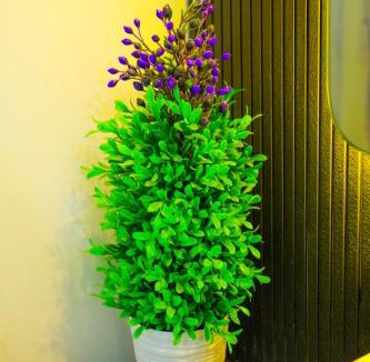 Ullal House | Maneva Comforts