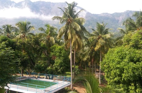 Chittur House | Mango Village Farm House