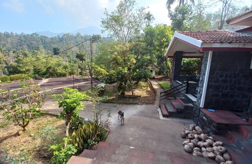 Mananthavady Cottage | Manikkal Outhouse Cottage Wayanad