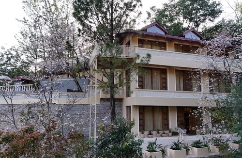 Dharampur Villa | Mansaayan Villas by Aurella Hospitality-3BHK Luxury Valley View Villa in Kasauli with Private Pool, Treehouse & 70 inches Smart TV Bar Lounge