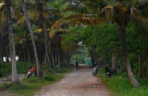 Mararikulam House | marari adonis beach villa
