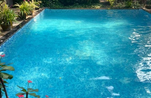 Mararikulam House | Marari Dreamz Homestay