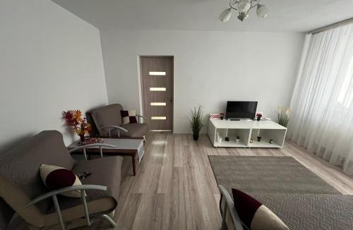 Tirgu Jiu Apartment | Margo Apartament cu 2 camere