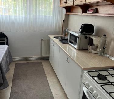 Tirgu Jiu Apartment | Margo Apartament cu 2 camere
