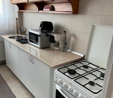 Tirgu Jiu Apartment | Margo Apartament cu 2 camere