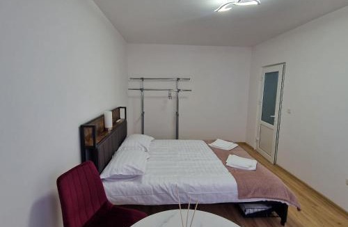 Tirgu Neamt Apartment | Maria Central Studio
