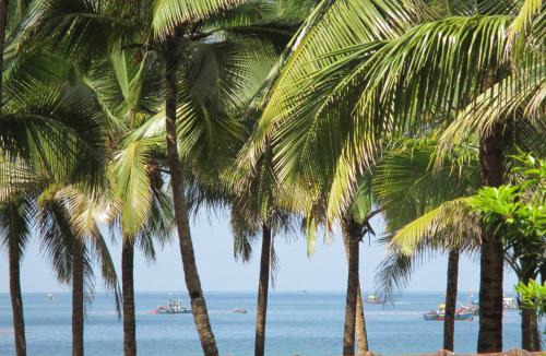 Agonda Hotel | Maria Paulo Guest House Bar and Restaurant