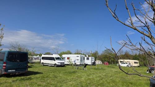 Vama Veche Other | Marina Park Camping