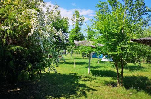 Vama Veche Other | Marina Park Camping