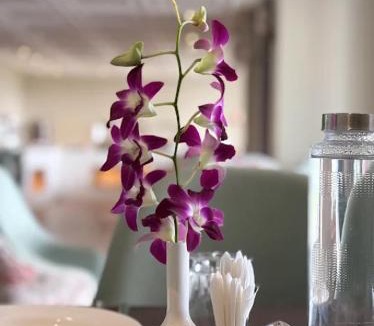 Majorda Hotel | Masaka Suites A Unit of Arbat Hospitality LLP