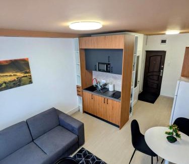 Tirgu Mures Apartment | MediLux Residence