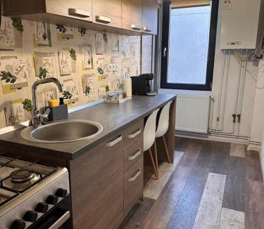 Tirgu Mures Apartment | Medusa Gold Studio