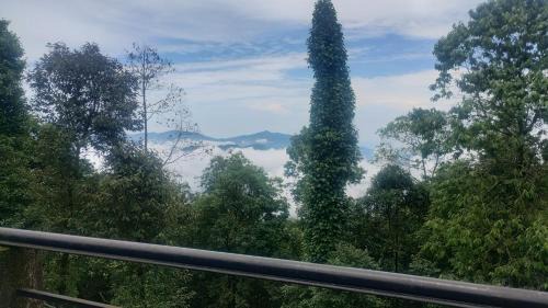 Takdah House | Meera homestay