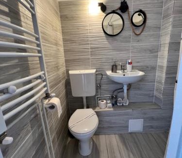 Arad Apartment | Miha modern and central apartament