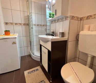 Arad Apartment | Miha modern and central apartament Malul Mureșului