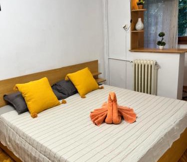 Arad Apartment | Miha modern and central apartament Malul Mureșului