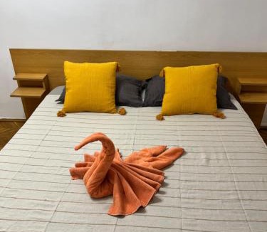 Arad Apartment | Miha modern and central apartament Malul Mureșului