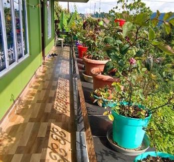 Mirik House | Mirik Homestay Mirik