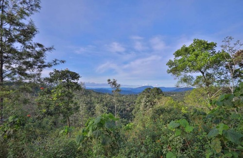 Anachal House | Misty View Cottage