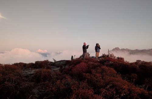 Pelling Cabin | Mochilero Nomads